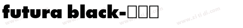 futura black字体转换